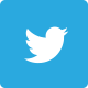 Share Product in Twitter